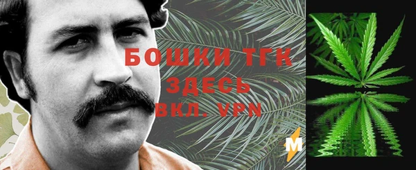 шишки Кукмор
