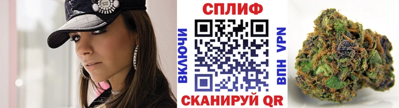 магазин продажи наркотиков  Туринск  Канабис сатива 